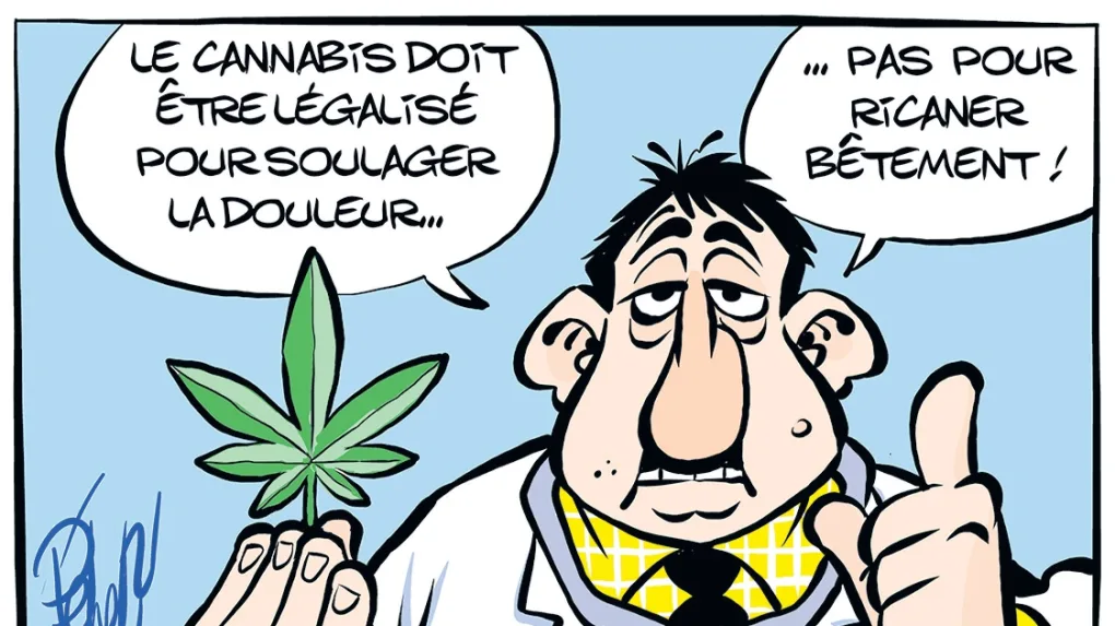 Quel avenir pour le cannabis thérapeutique ?