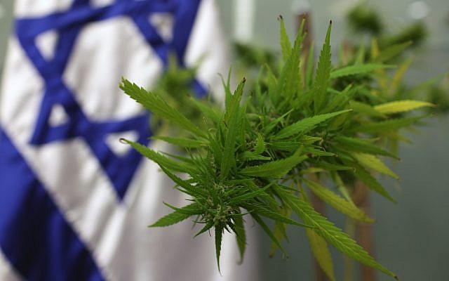 Le cannabis thérapeutique en Israël